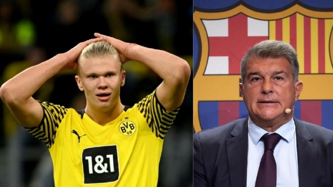 当AL教练 当AL教练